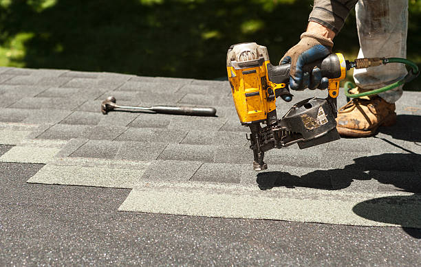 Best Roof Gutter Cleaning  in Ravenswood, WV